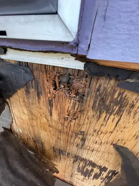 IMG 8301-1773261935472 - Structural Framing Repair Behind Siding