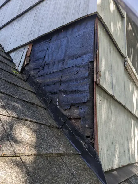 Siding Board Replacement