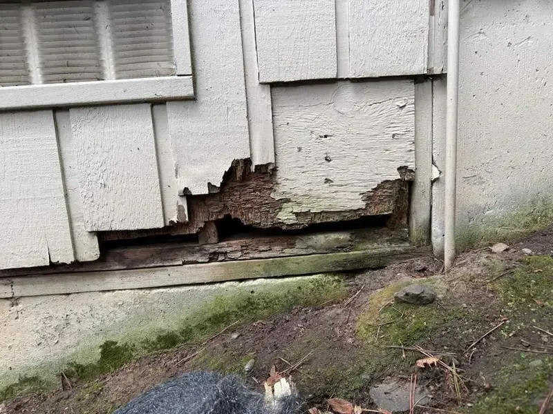 down-net http20260311-123-lc6xta-1773263236417 - Siding Rot Repair